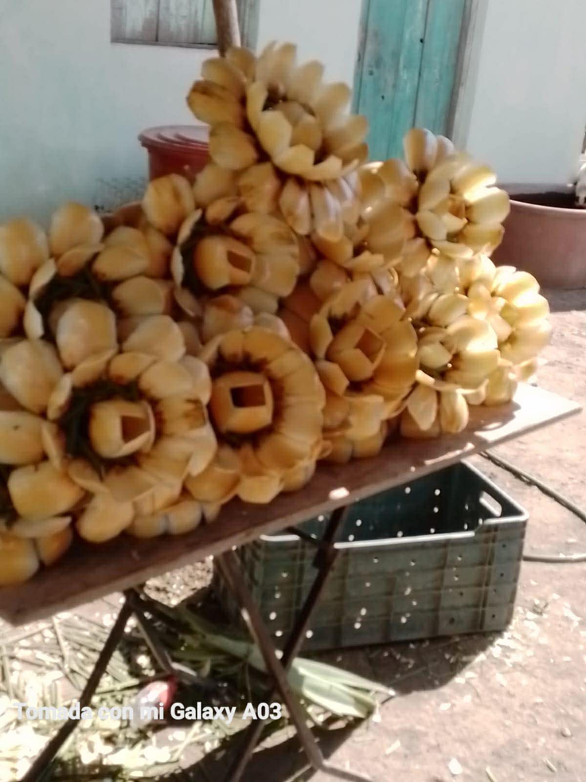 Flor de Madera Dorada